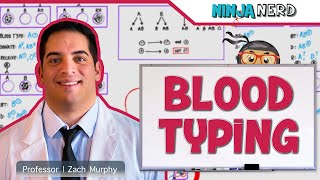 Hematology  Blood Typing [upl. by Yorgos]