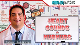 Heart Sounds amp Murmurs  Clinical Medicine [upl. by Cochran]