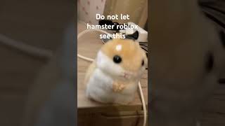 Don’t let hamsterinroblox see this [upl. by Nehtanhoj8]