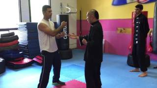 Wing Chun Kung Fu  Hand Deflections and Stance [upl. by Aedni567]