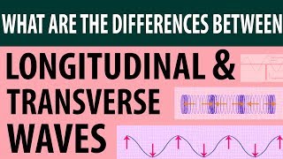 Difference between Longitudinal Waves and Transverse Waves  Types of Waves Physics Terms Explained [upl. by Erna]