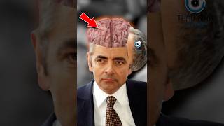 MR BEAN CÓ THỰC SỰ NGỐC  😨 Bạn Biết Không facts amzingfacts thaukinhtrithuc [upl. by Mella179]