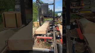 Milling Live Edge White Pine Siding [upl. by Valorie]