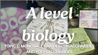 A level biology Edexcel A Topic 1 Monosaccharides Disaccharides and Polysaccharides [upl. by Noryb]