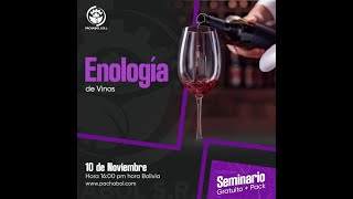 Enología de vinos [upl. by Con]