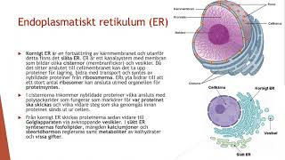 Cellens organeller i detlaj  Biologi 2 100 p [upl. by Nylednarb]