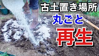 古土を一気に再生させる方法 【園芸超人カーメン君】【土壌改良】 [upl. by Afira277]