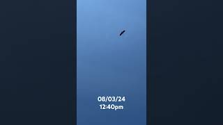 BALD EAGLE FLIES OVER THE FARM music countrymusic baldeagle usa [upl. by Aratnahs908]