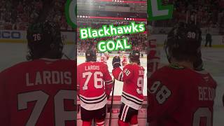 Blackhawks Score nhl connorbedard [upl. by Nimocks]