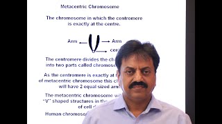 Types of Chromosomes on the basis of position of centromere In Sindhi  XI Biology  Chapter 4 [upl. by Aihceyt]