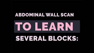 ABDOMINAL WALL SCAN TO LEARN SEVERAL BLOCKS [upl. by Lynus]