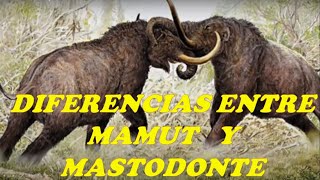 MAMUT Y MASTODONTE [upl. by Ahsaten]