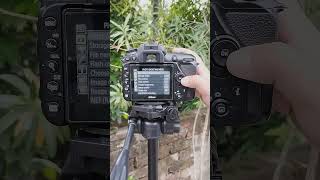 How To Change Image Size In Nikon DSLR Camera  DSLR Camera Settings shorts photography viral [upl. by Orianna]