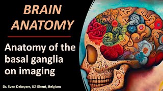 Imaging Anatomy of the Basal Ganglia [upl. by Iteerp]