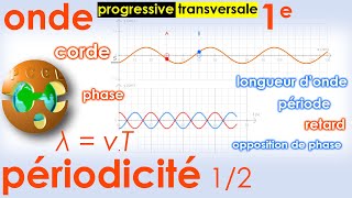 Onde mécanique sinusoïdale 12 CORDE transversale λ  vT Phase Double périodicité 1e  Bac [upl. by Apicella]