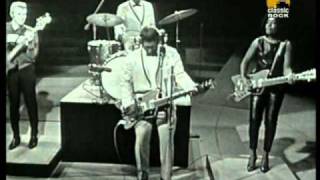 Bo Diddley Road Runner Live [upl. by Wilterdink]