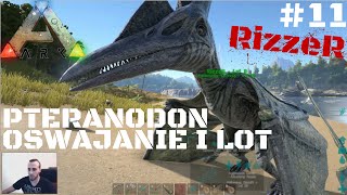 🦕 ARK Survival Evolved PL  Pteranodon  Lot Nad ARKowym Gniazdem 11 [upl. by Aitital462]