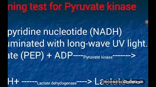 Red Blood Cells enzyme deficinecy  Pyruvate Kinase Deficiency [upl. by Dougal]