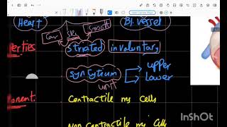 CVS cardiac Rhythmicity [upl. by Maillil]