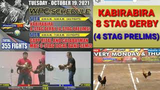 KABIRABIRA 8 STAG DERBY 4 STAG PRELIMS OCT19 2021Pitmasters live fight schedules [upl. by Ettelocin]