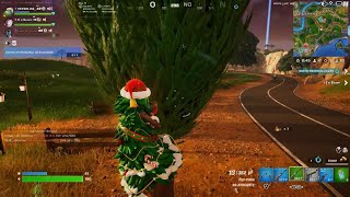 Fortnite eu sou o milhor [upl. by Castor]