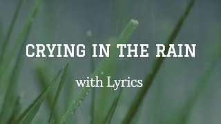 Crying In The Rain Lyrics  The Everly Brothers  cover song [upl. by Adnahsam]