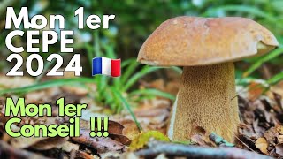 Mon 1er cèpe 2024 mon 1er conseil  cepes 2024 nature asmr [upl. by Waldemar305]