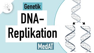 DNA Replikation einfach erklärt  Genetik  MedAT  Biologie [upl. by Ardnuasac]