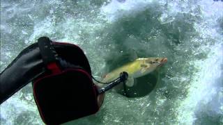 Ice Fishing Channel Catfish [upl. by Mij]