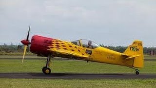 Sukhoi 31 Aerobatics  Francis Barros  Unlimited 2013 [upl. by Fortunia224]