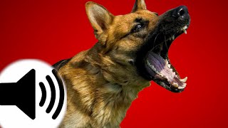 Dogs Barking Sound Effect [upl. by Julie]