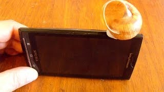 Усилитель звука для мобильника из ракушки DIY Shell Phone Amp [upl. by Dnumyar294]