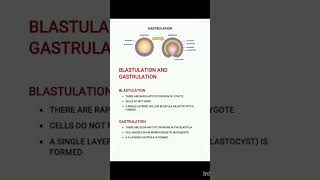 Blastulation amp Gastrulationiasexam neet2023 zoology [upl. by Bartlet]