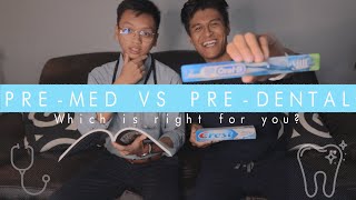 Premed vs Predental Which One is Right for You  For the Future MedDental Students [upl. by Ahseek388]