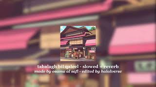 tabalagh bil qaleel  slowed  reverb [upl. by Simpson]