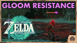 How to get Gloom Resistance in Zelda Tears of the Kingdom [upl. by Publia444]