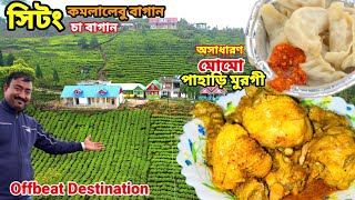 SITONG এর কমলালেবুচা বাগানের মধ্যে অপরূপ homstay তে পাহাড়ি মাংসকাতলা খেয়ে ছিটকে গেলাম Wow Gateway [upl. by Suoirrad]