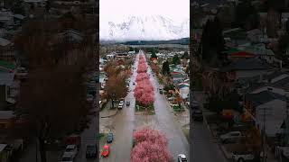 Esquel Argentina fiesta del Ciruelo en Flor [upl. by Lorraine]