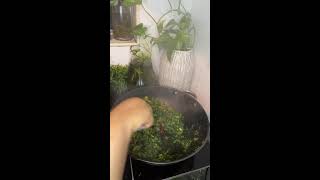 Fish amp Water Spinach  Live [upl. by Virgina478]