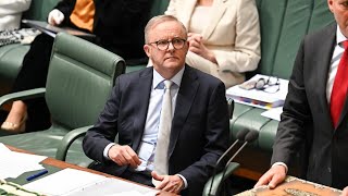 ‘A complete scandal’ Anthony Albanese slammed over Qantas upgrades [upl. by Nerraw]