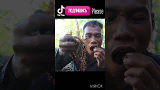 Ate a live scolopendra animals cooking horror challenge [upl. by Neeloj]