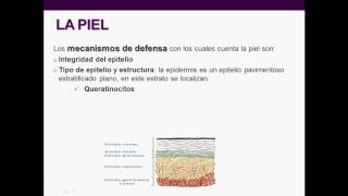 Introducción a la inmunología humana  Clase 2 Inmunidad Innata quotLas barreras naturalesquot [upl. by Madra]