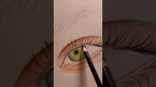 TH NICE EYE TH NICE WORKart shorts shortvideo song [upl. by Wandis]