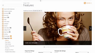 DevExpress ASPNET MVC Image Slider [upl. by Selin]