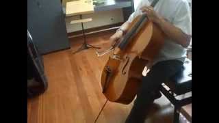 Antônio Meneses tocando violoncello do Atelier dos Violino [upl. by Kyla388]