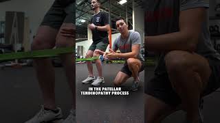 You NEED These Knee Tendon Isometrics [upl. by Lemmuela]