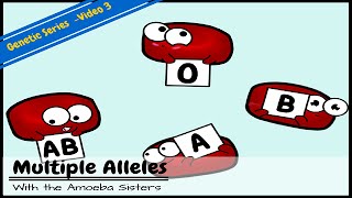 Multiple Alleles ABO Blood Types and Punnett Squares [upl. by Naedan]