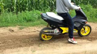 Gilera runner fxr 50 ccmD malossi tuning [upl. by Fancie500]