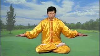 Falun Dafa Exercise 5 60 minutes [upl. by Lyndsay]