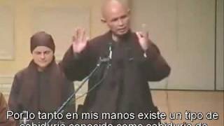 Ego  Thich Nhat Hanh subtitulado [upl. by Ttoile]